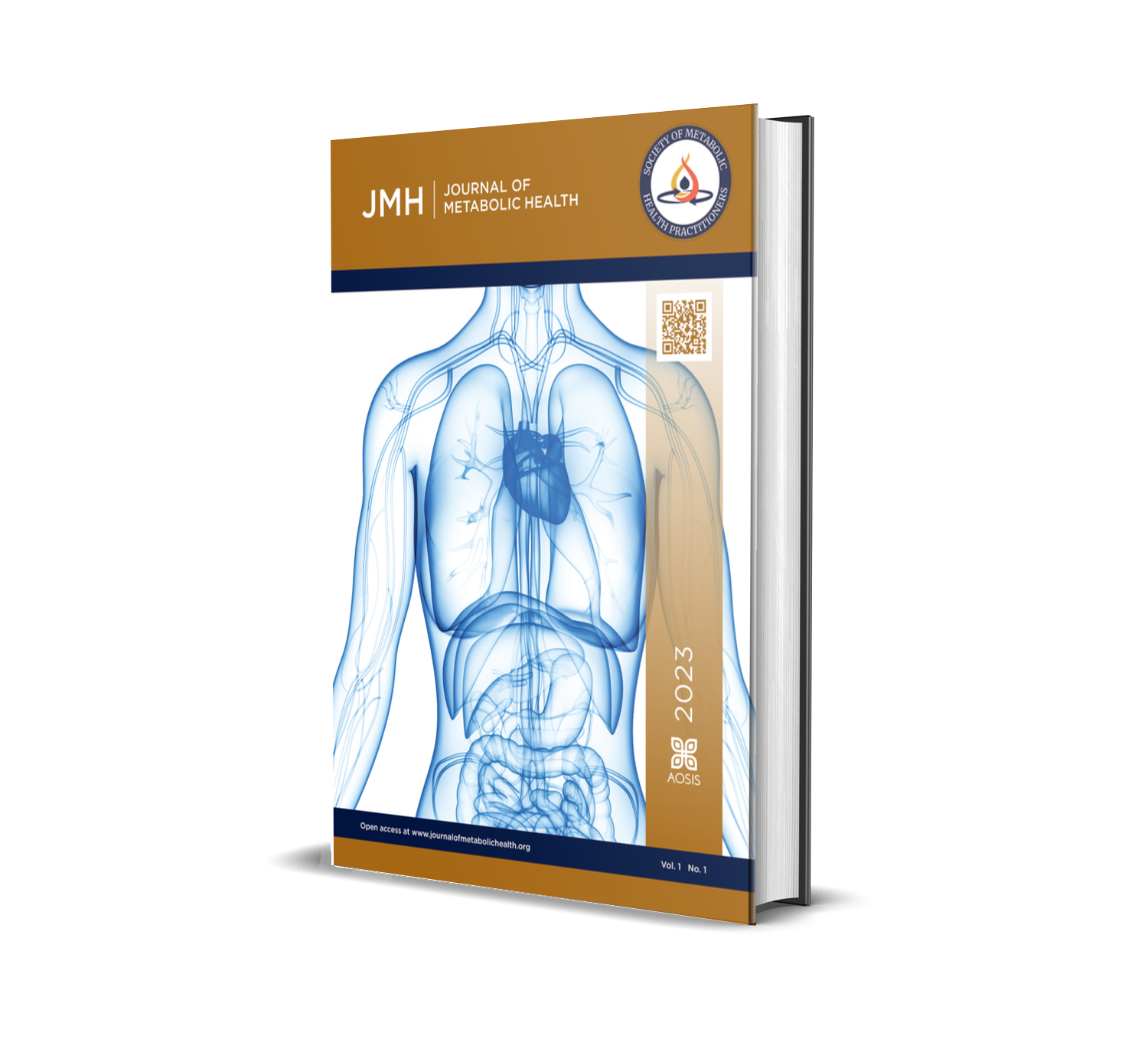 JMH Book Cover 3D